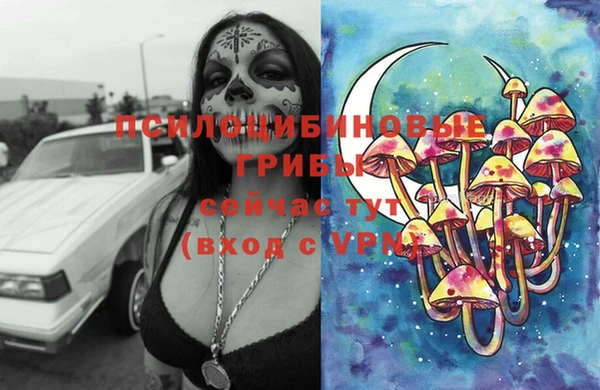 хмурый Киренск