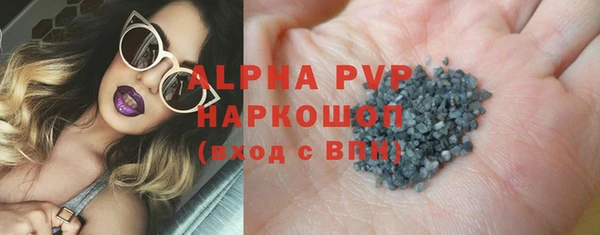 индика Кинешма