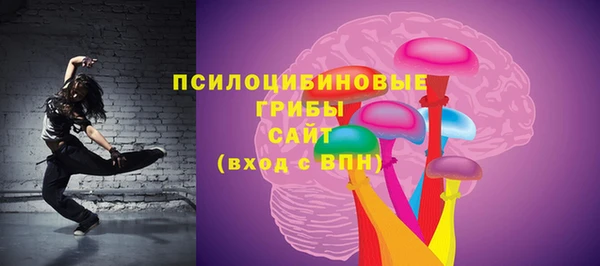 индика Кинешма