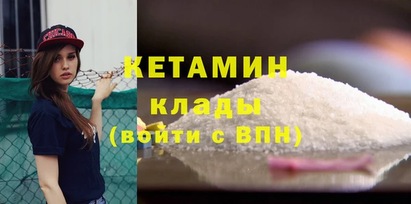 индика Кинешма