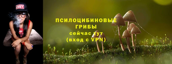 хмурый Киренск