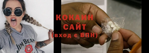 индика Кинешма