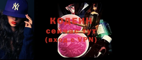 индика Кинешма