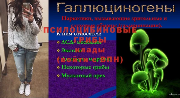 стафф Богданович