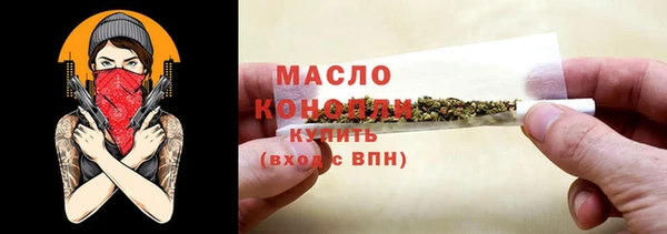 индика Кинешма