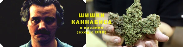 mdma Богородск