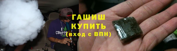 индика Кинешма