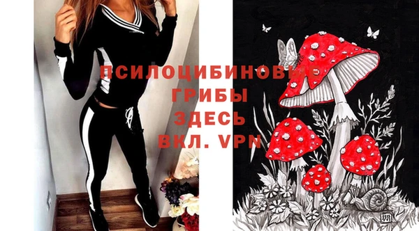 спиды Киреевск