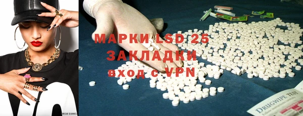 индика Кинешма