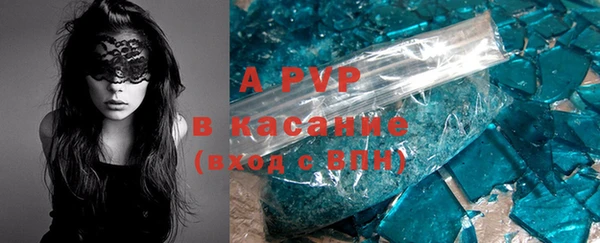индика Кинешма
