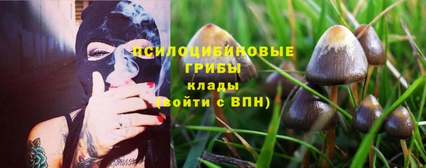 хмурый Киренск