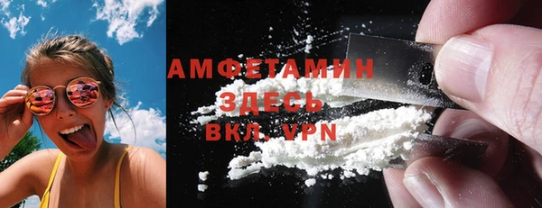 индика Кинешма