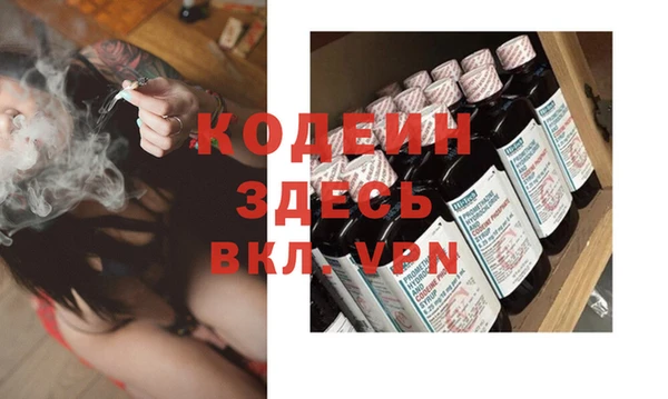 индика Кинешма