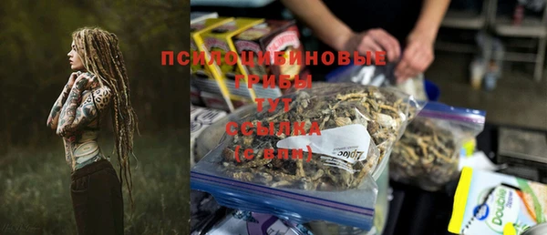 индика Кинешма