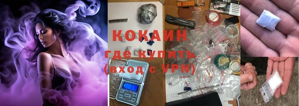 индика Кинешма