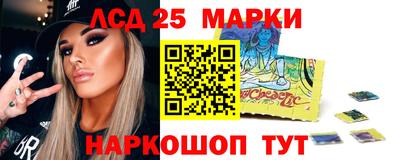 гидропоника Будённовск