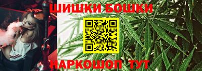 гидропоника Будённовск