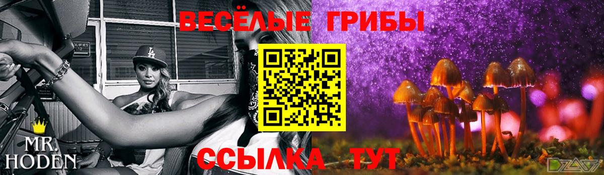 Галлюциногенные грибы Psilocybe  Набережные Челны  Псилоцибиновые грибы MAGIC MUSHROOMS 