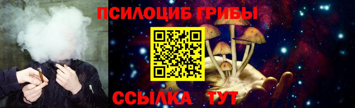 Псилоцибиновые грибы ЛСД  Псилоцибиновые грибы прущие грибы  Набережные Челны  Вход с VPN 